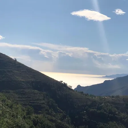 Un Capriccio-sambuco