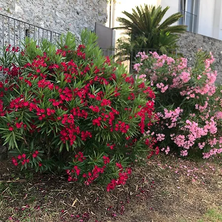 Un Capriccio-sambuco Apartment *