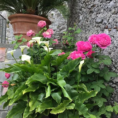 Apartment Un Capriccio-sambuco *