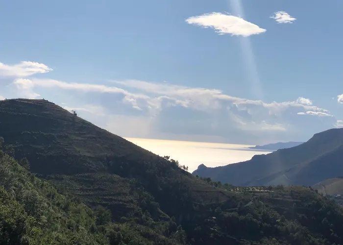 Un Capriccio-sambuco