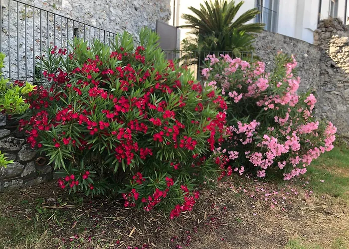 Un Capriccio-sambuco 公寓 *