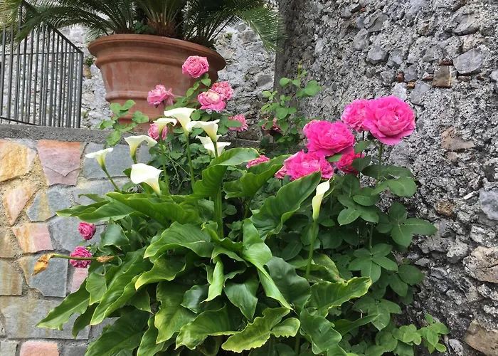 公寓 Un Capriccio-sambuco *